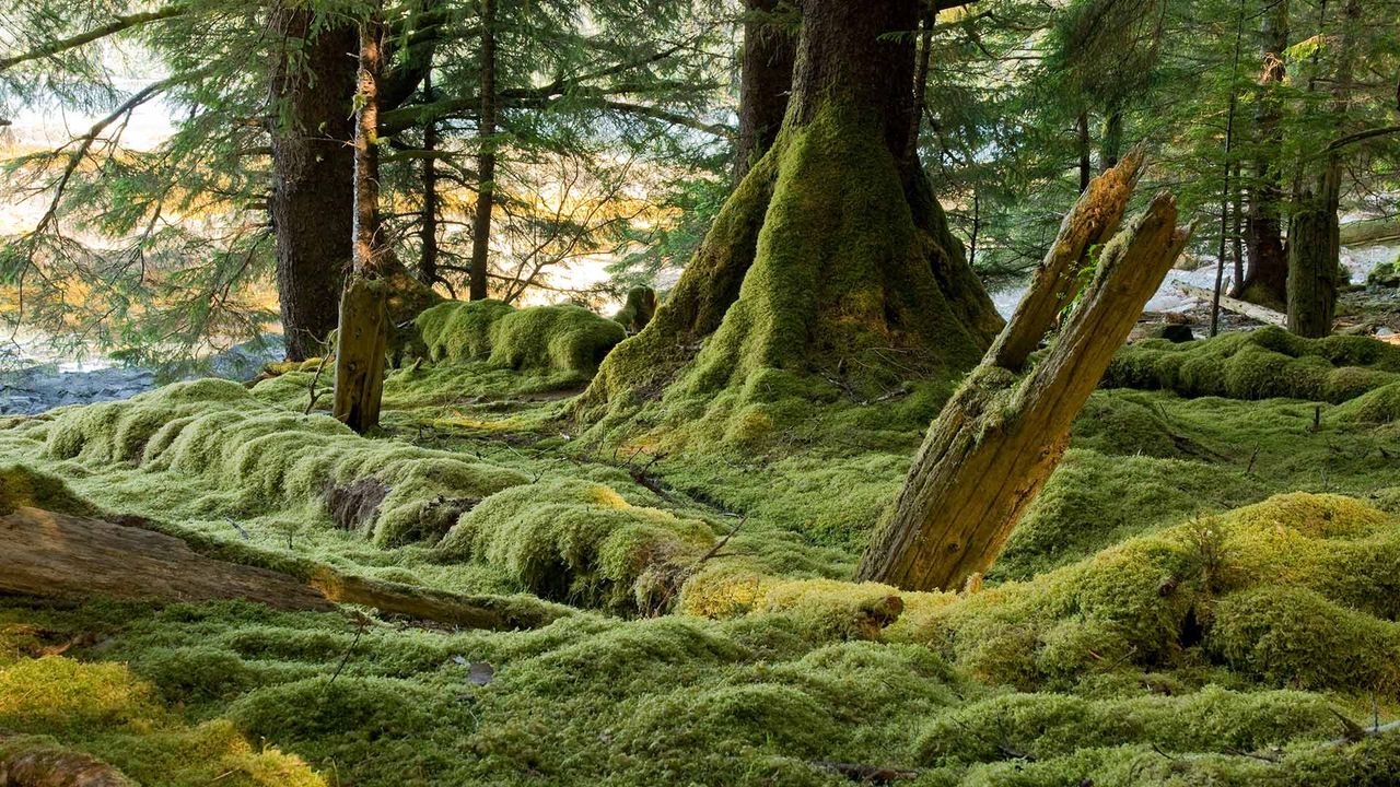 Gwaii Haanas National Park Reserve, Haida Gwaii, B.C. 