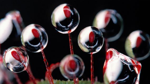 谁借我月光宝盒一用？