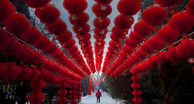 Lanterns hung to mark the upcoming Chinese New Year in the Altar of Earth park in Beijing, China