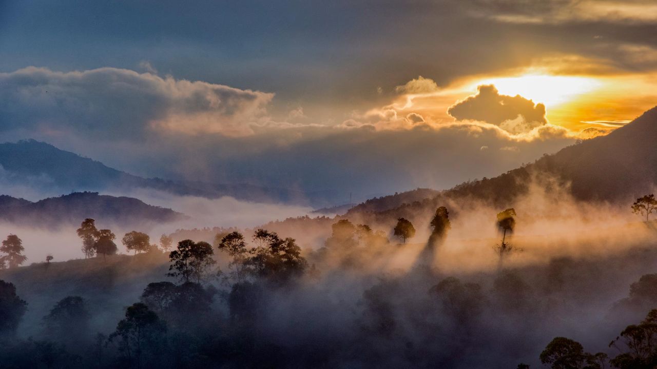 Mist over the forests of Idukki, Western Ghats in Kerala, India