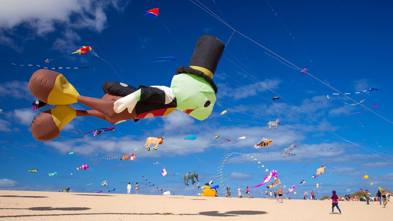 Festival Internacional de Cometas de Corralejo, La Oliva, Fuerteventura, Las Palmas, Canarias, España