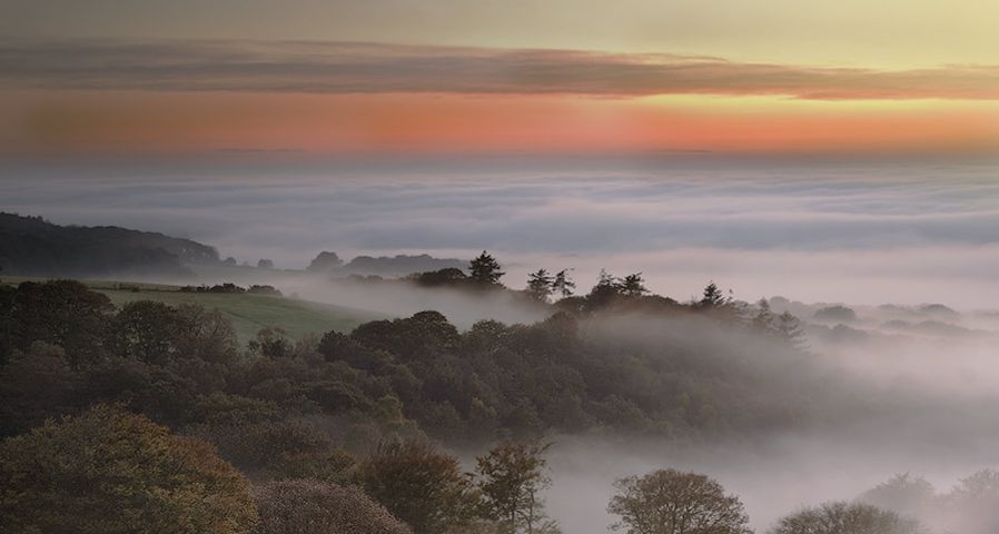 Morgendämmerung und Frühnebel in Dartmoor, Grafschaft Devon, England –  David Clapp/Photolibrary ©