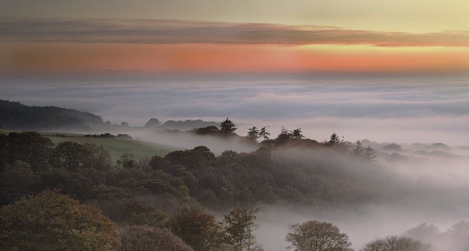 Dawn breaks on foggy morning in Dartmoor, Devon, England, UK | Peapix