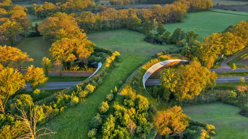 Grünbrücke in Wierden, Niederlande