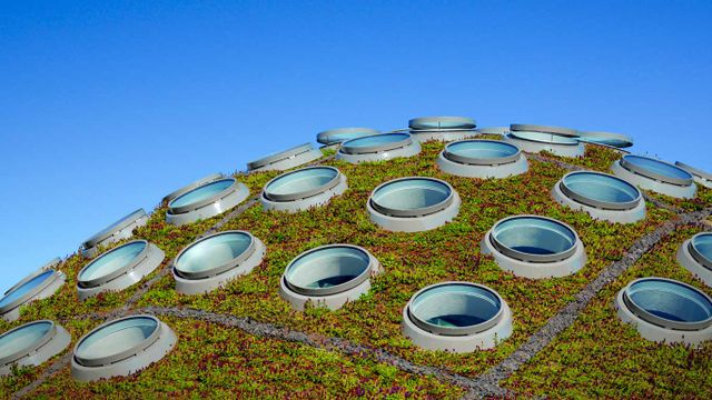 Toiture végétale de l’Académie des sciences de Californie, San Francisco, États-Unis