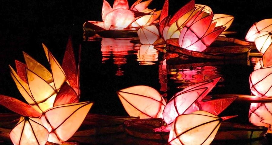 Candlelit lanterns are set adrift during the Diwali celebrations in Trafalgar Square, London