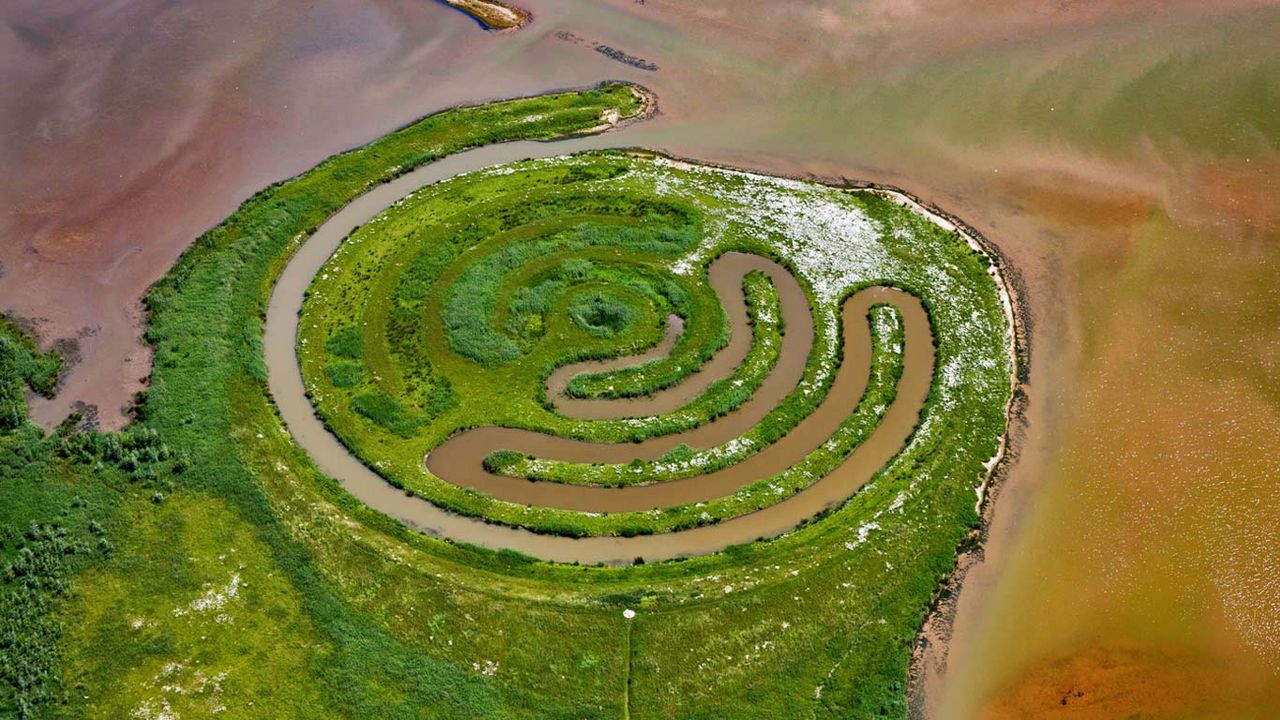 Installation by land artist Paul de Kort in De Biesbosch National Park, Netherlands 