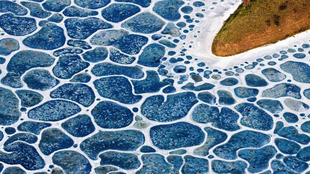 「カリブーの湖」カナダ, ブリティッシュ・コロンビア州