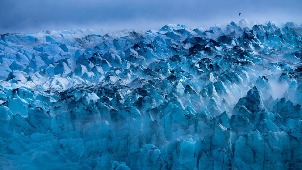 Lamplugh Glacier in Glacier Bay National Park and Preserve, Alaska 