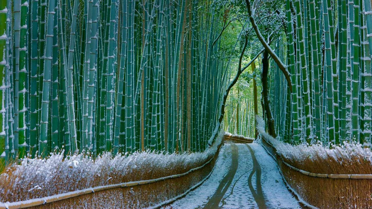 ｢嵯峨野｣京都, 嵐山