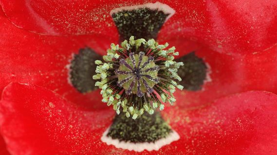 一体化流程平台W.I.P.