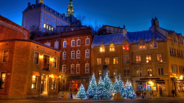 Christmas trees in Old Quebec