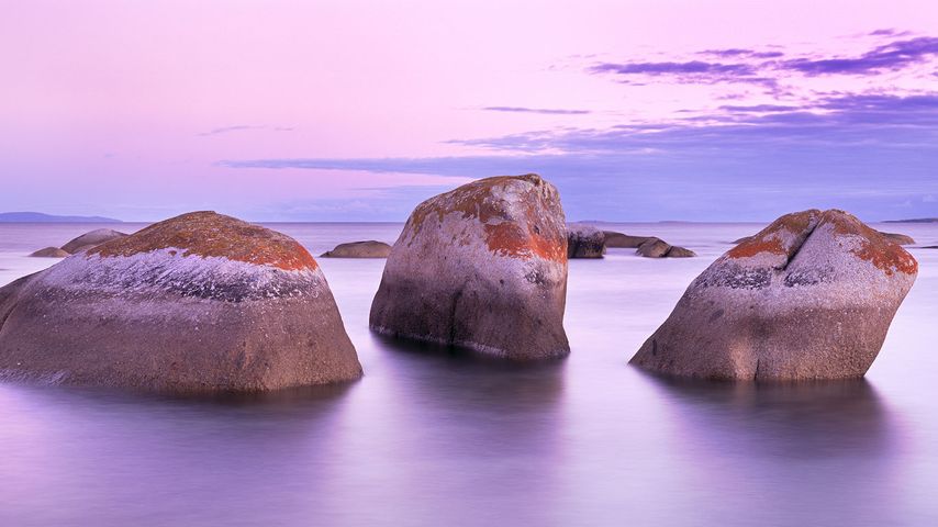 Granite rocks off Flinders Island, Tasmania, Australia 