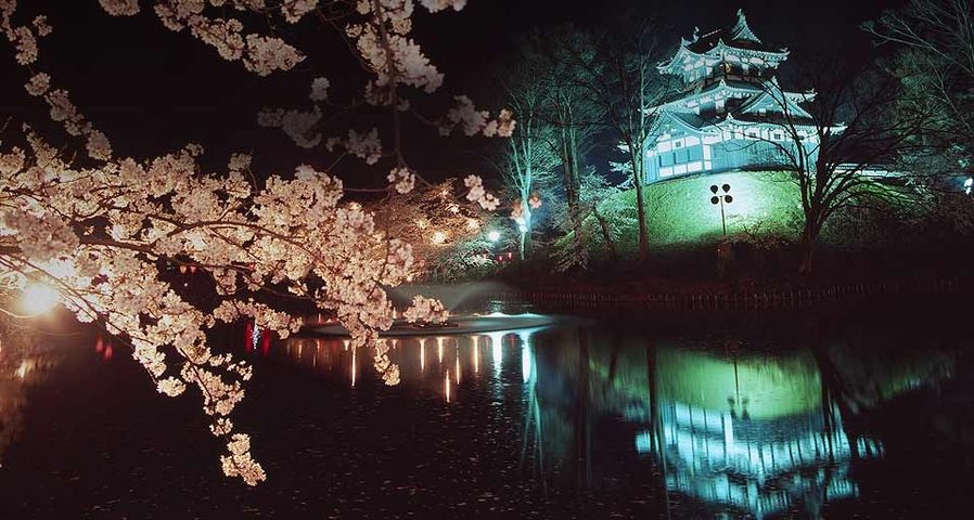 ｢高田城の夜桜｣新潟, 上越市
