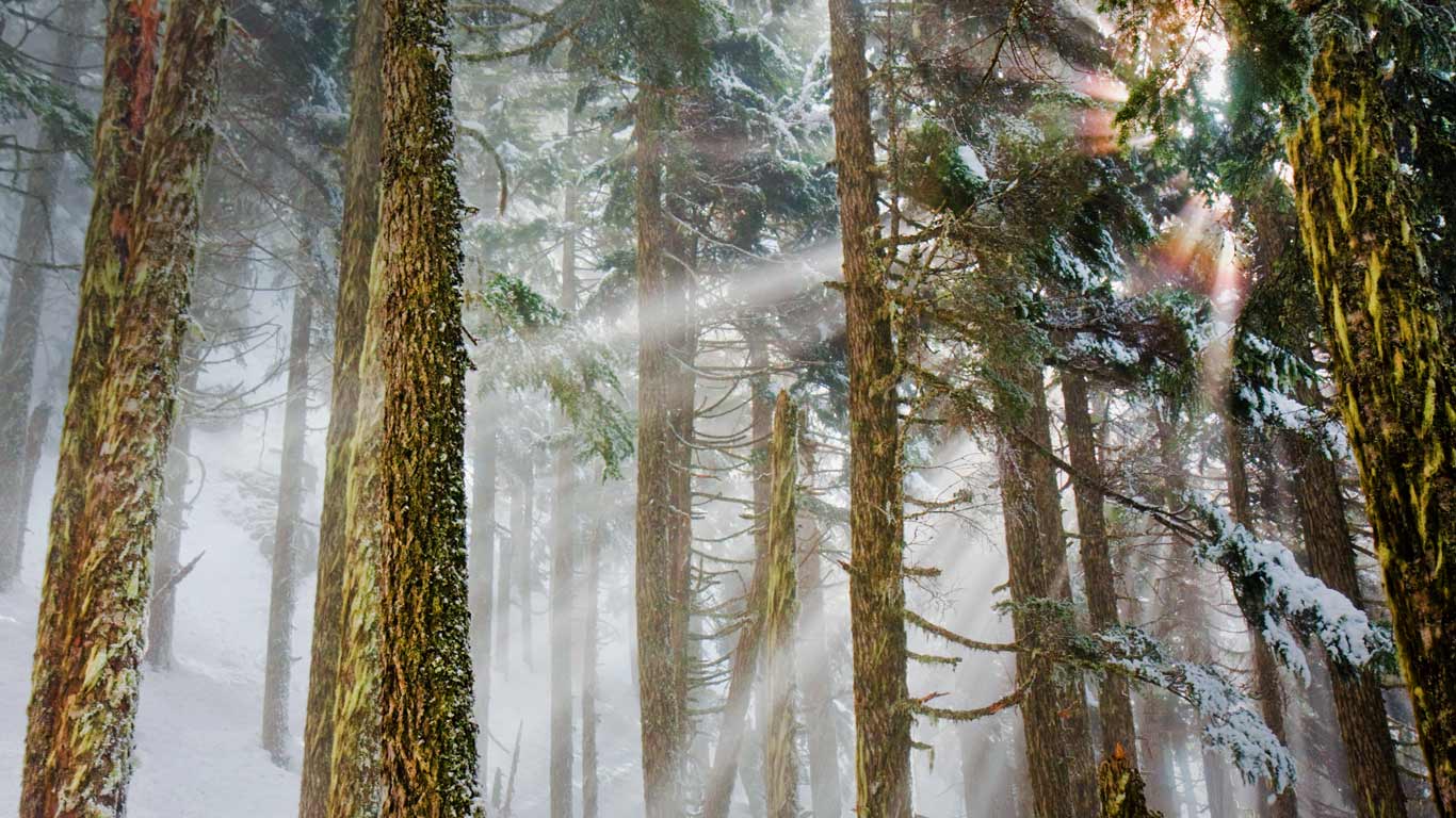 ベーカー山スノコルミー国立森林公園 アメリカ ワシントン州 Bing Gallery
