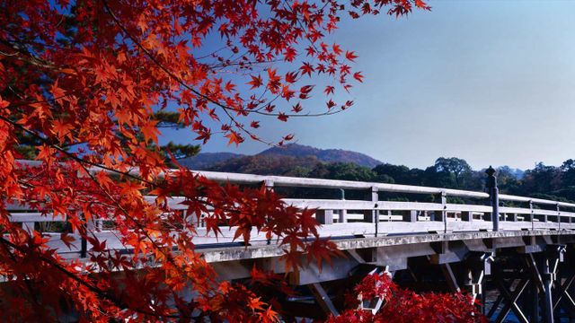 ｢秋の宇治橋｣三重県, 伊勢神宮