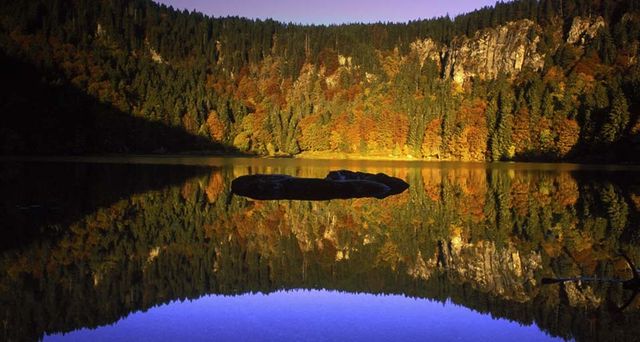 Der Feldsee im Herbst, Baden-Württemberg, Deutschland – Bildagentur Waldhaeusl/waldhaeusl.com/age fotostock ©