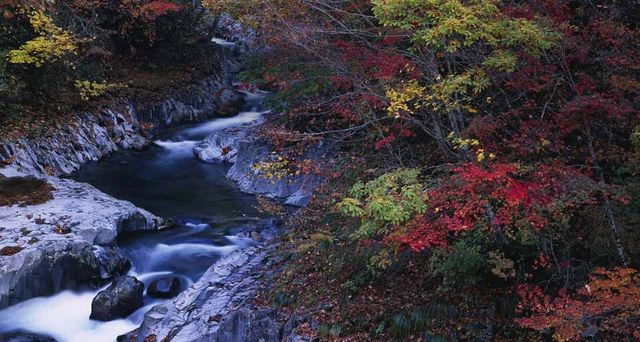 ｢中津川渓谷の紅葉｣福島, 裏磐梯