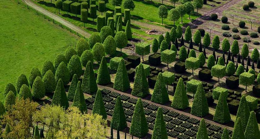 Aerial shot of a nursery garden with geometrically pruned trees near Leer, Germany