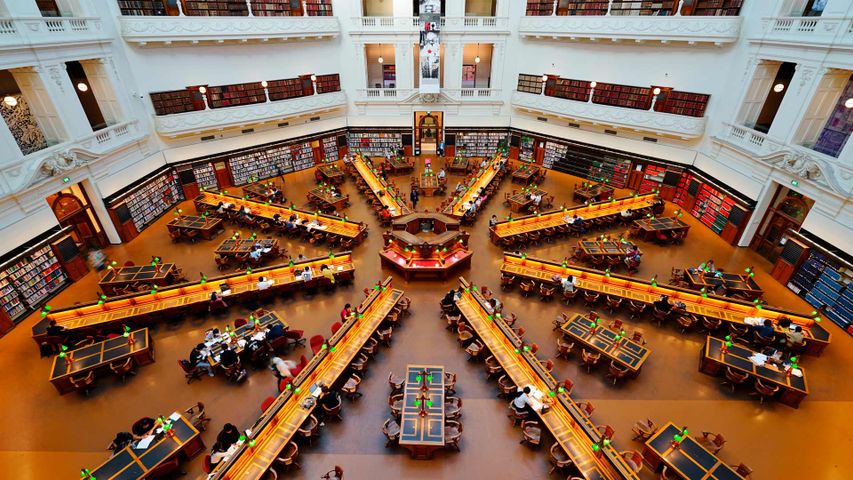 Study time at the State Library of Victoria