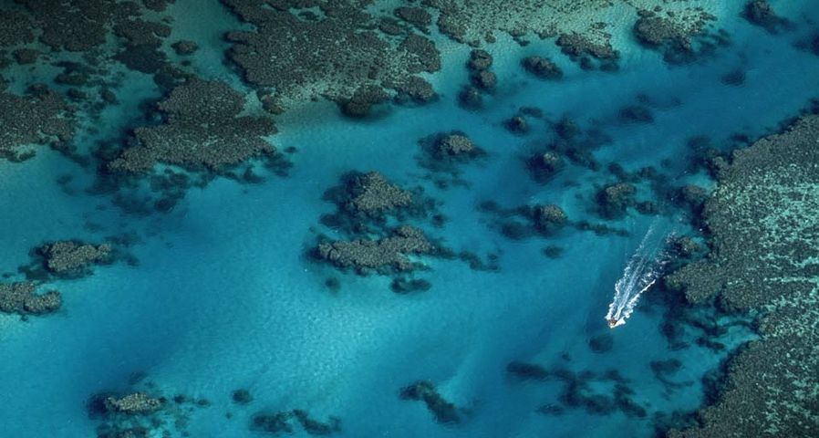 今天是二十四节气中的夏至，图为澳大利亚的大堡礁