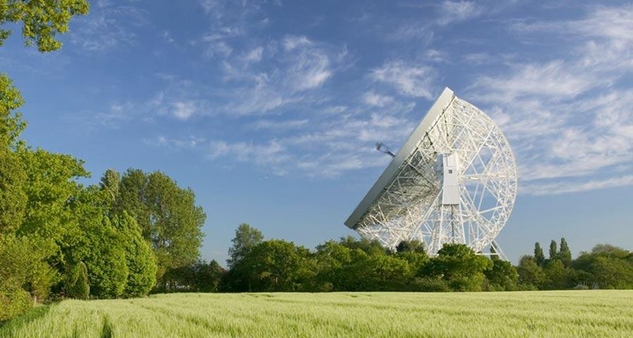 The large radio telescope at Jodrell Bank, as seen from a field of wheat, Macclesfield, England