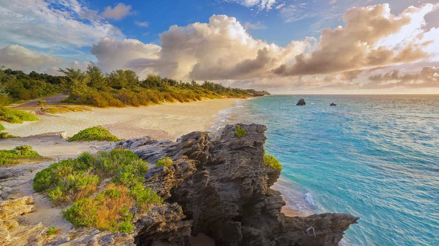｢ワーウィック・ロング・ベイ｣バミューダ諸島