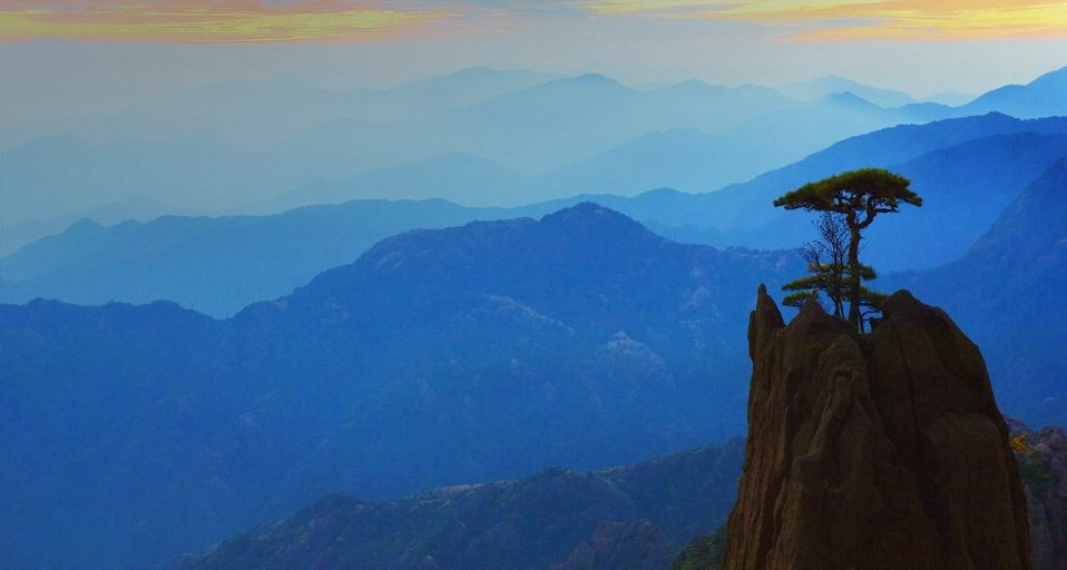 Pine tree and mountain range, White Cloud Scenic Area, Huangshan, Anhui, China