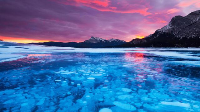 Blasen im Eis des Abraham Lake in Alberta, Kanada