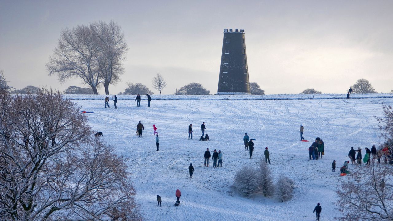 Parc près de Beverly, Yorkshire, Angleterre