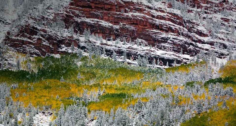 Aspens and snow on the red cliffs of Redstone, Colorado