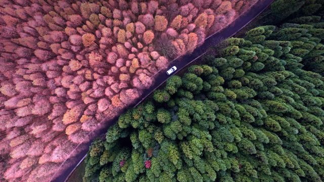 「山王坪カルスト国家生態公園」中国, 重慶市