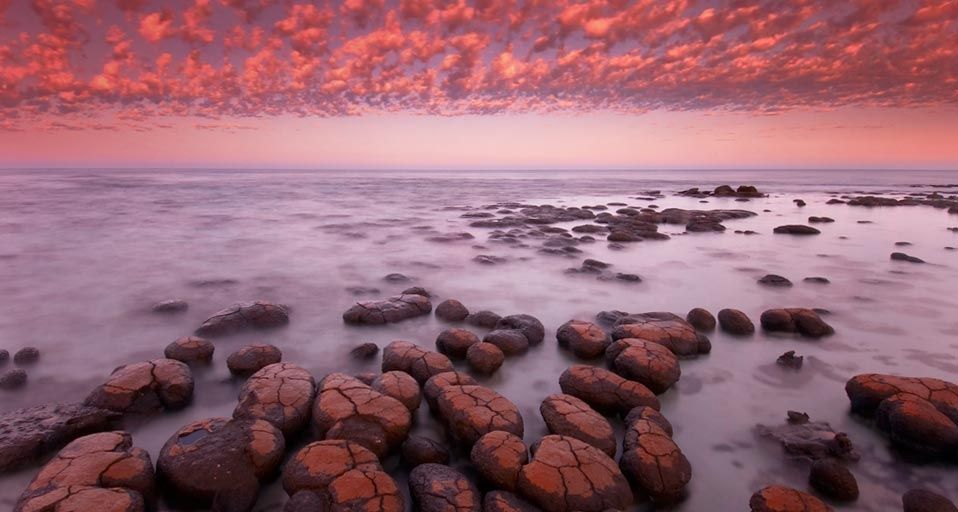 Stromatolites at dawn in Shark Bay, Western Australia