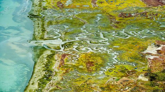 从C++传递窗口给wxLua