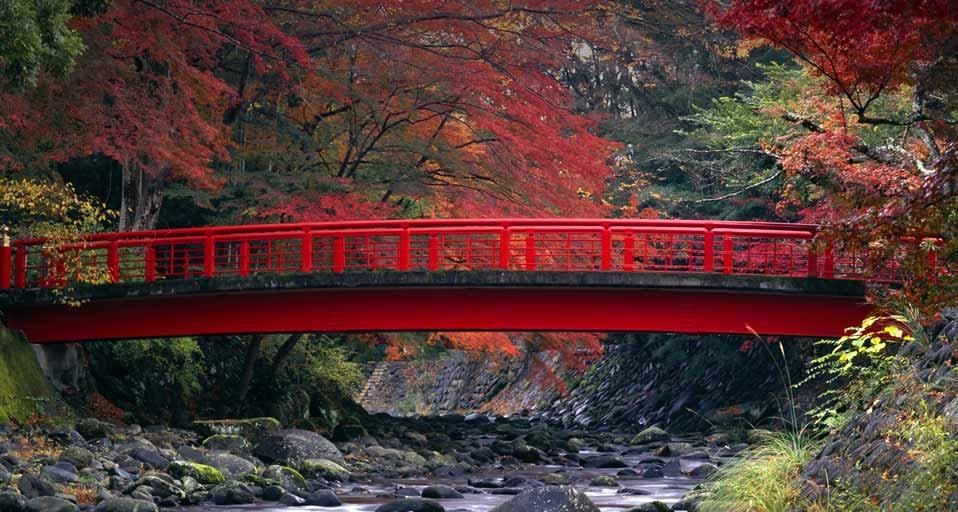 ｢桂橋｣静岡, 伊豆市, 修善寺