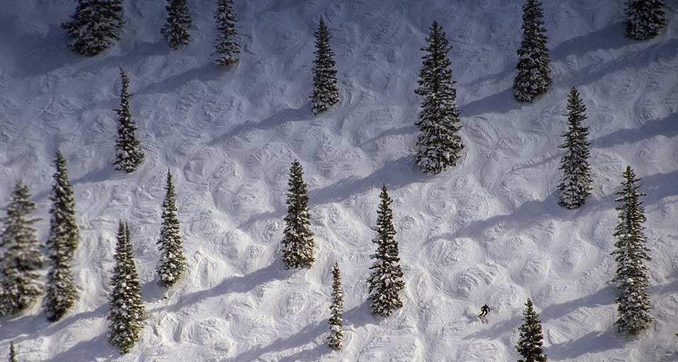 Ein Skifahrer auf der sogenannten „Face of Bell“-Abfahrt in Aspen, Colorado – Gordon Wiltsie/Getty Images ©
