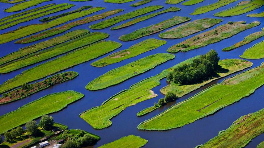 Polderlandschaft in der Nähe von Jisp, Wormerland, Provinz Nordholland, Niederlande
