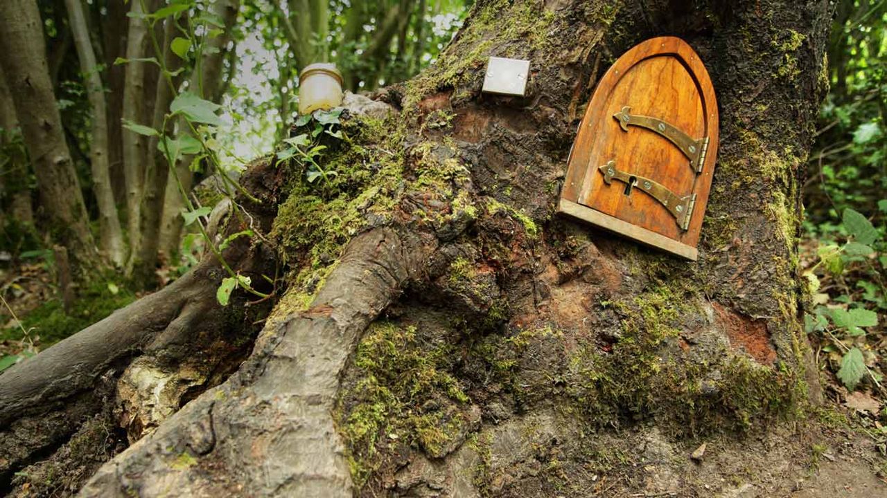 Ashdown Forest, home of Winnie-the-Pooh 