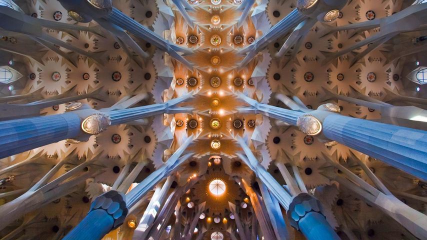 Plafond de la Sagrada Família à Barcelone, Espagne