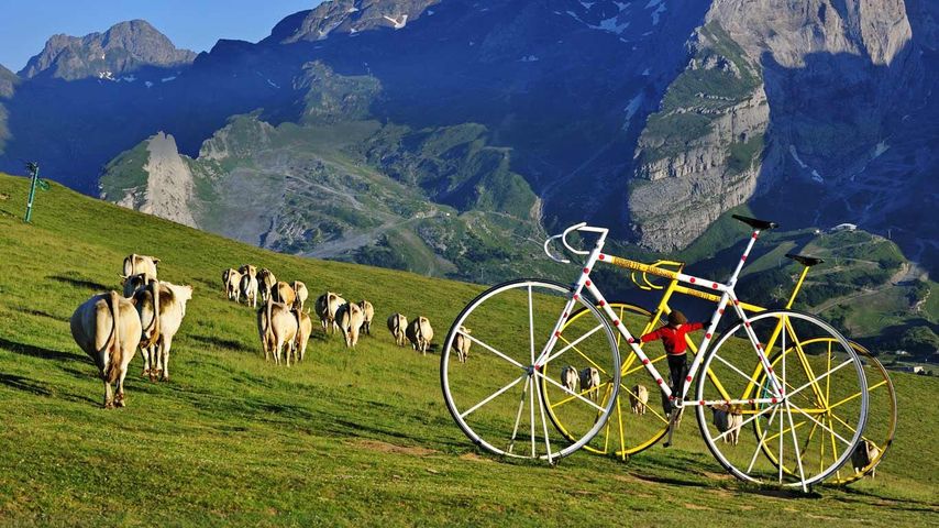 Scultures de vélo aux couleurs des maillots du Tour de France, col d'Aubisque dans les Pyrénées, Aquitaine