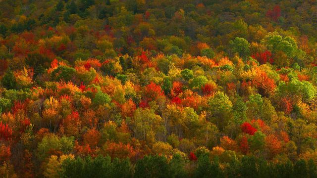 Fall foliage in Hudson Valley, New York