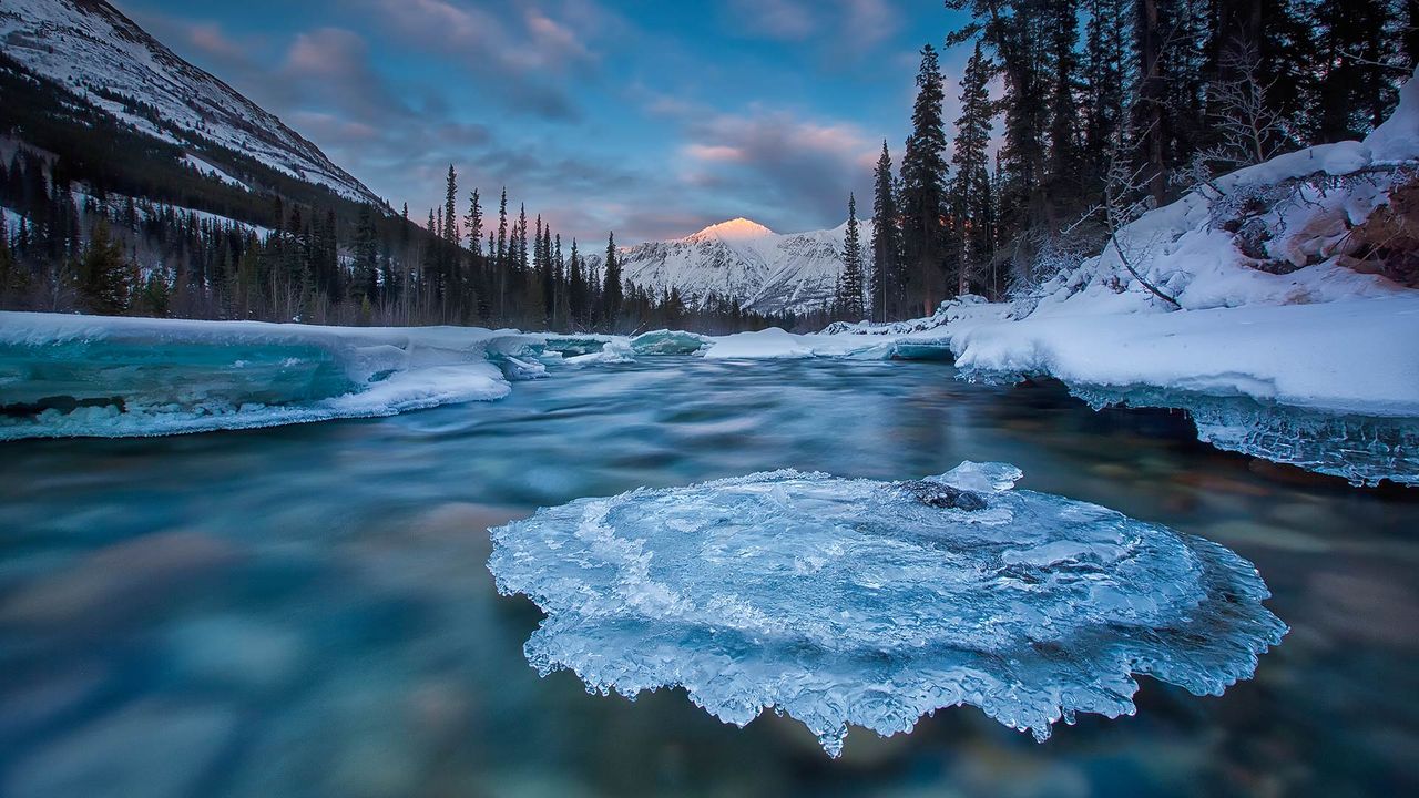 Ice-covered rock in Wheaton River, Yukon 
