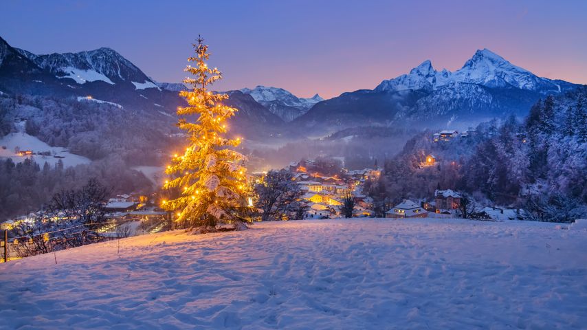 Weihnachtsbaum bei Berchtesgaden mit dem Watzmann im Hintergrund, Bayern