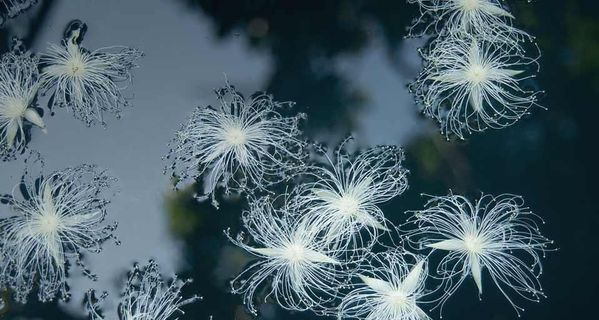 Inno Setup挺好用的