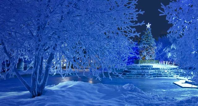 Nighttime view of the Christmas tree and blue light decorations in Anchorage's Town Square, Alaska, USA