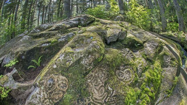 Nuxalk petroglyphs, Bella Coola, coastal B.C. 