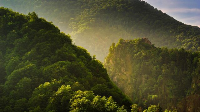 Citadelle de Poenari, Roumanie