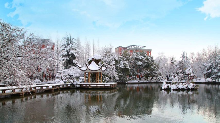 中国科学技术大学，雪后一鉴亭