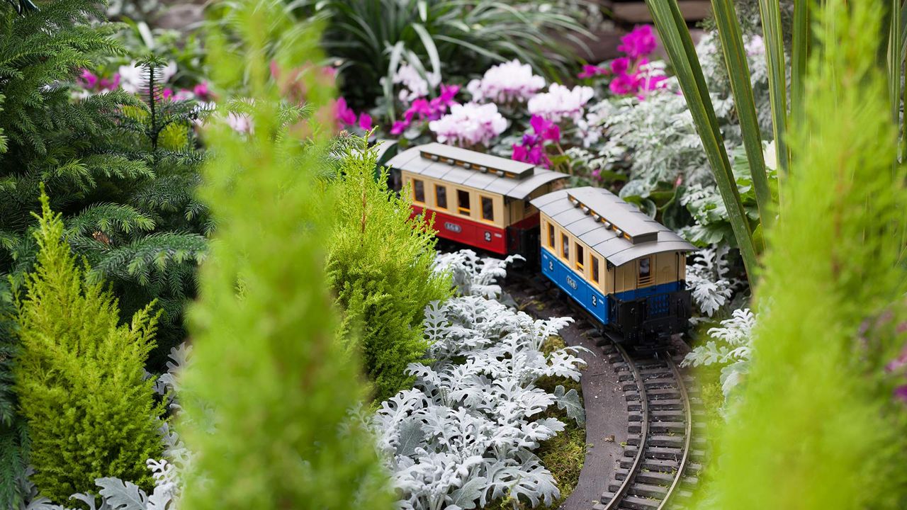 Train surrounded by Christmas flowers at Allan Gardens Conservatory, Toronto