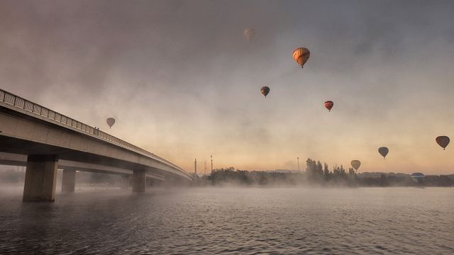 Hot air balloons seen from Lake Burley Griffin, Canberra, Australian Capital Territory 